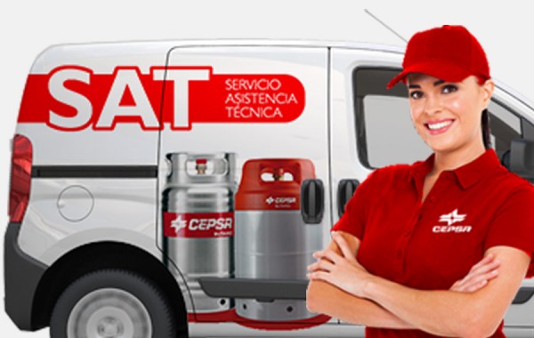 Revisiones oficiales y averías 24h