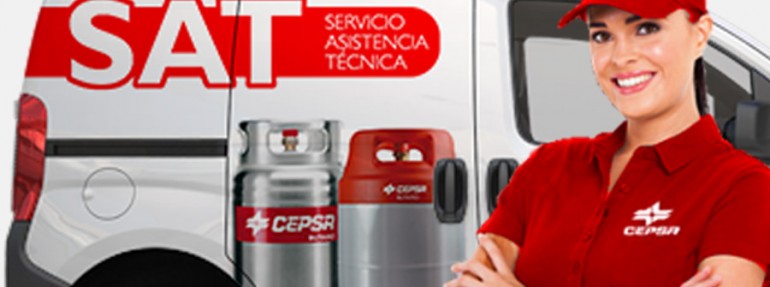 Revisiones oficiales y averías 24h